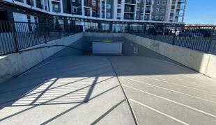 IMG-20201123-WA0007