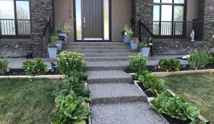 IMG-20200818-WA0009